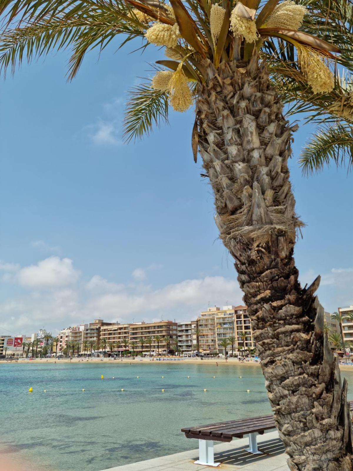 Apartamentos Palangres Torrevieja Buitenkant foto